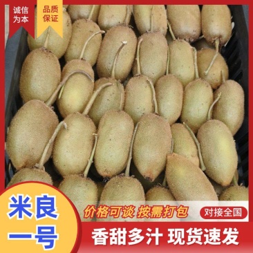 湖南凤凰，米良一号猕猴桃产地代办直发，诚信为本质量保障。