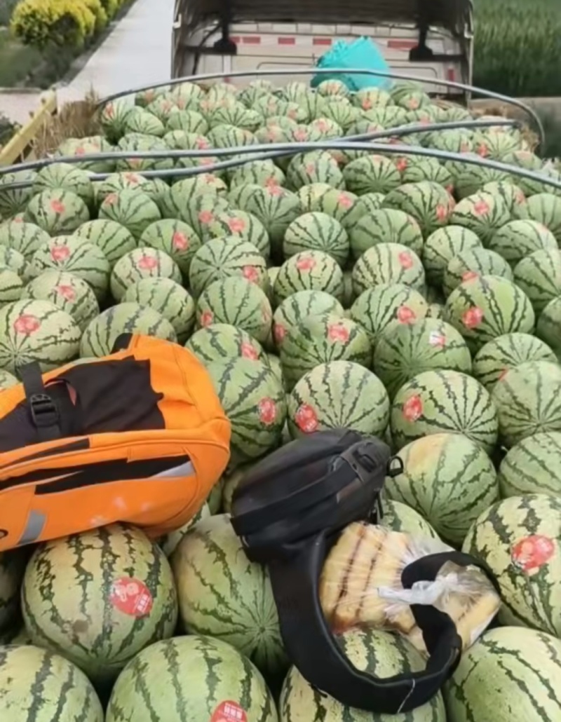 宁夏石头西瓜，露天自然成熟，产地直销，全国发货