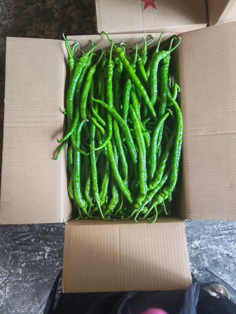 螺线，大量供应，量大从优，基地直供，一手货源，全国供应