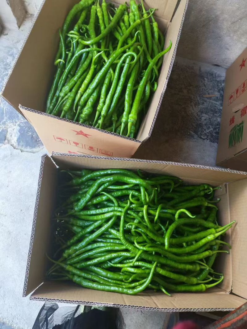 螺线，大量供应，量大从优，基地直供，一手货源，全国供应