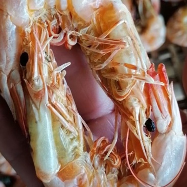 农家手工阳光慢晒无盐天然***宝宝辅食级虾干