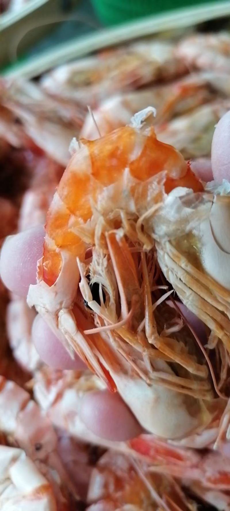 农家手工阳光慢晒无盐天然***宝宝辅食级虾干