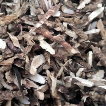 石菖蒲，保真大别山货种类齐全规格多可视频看货