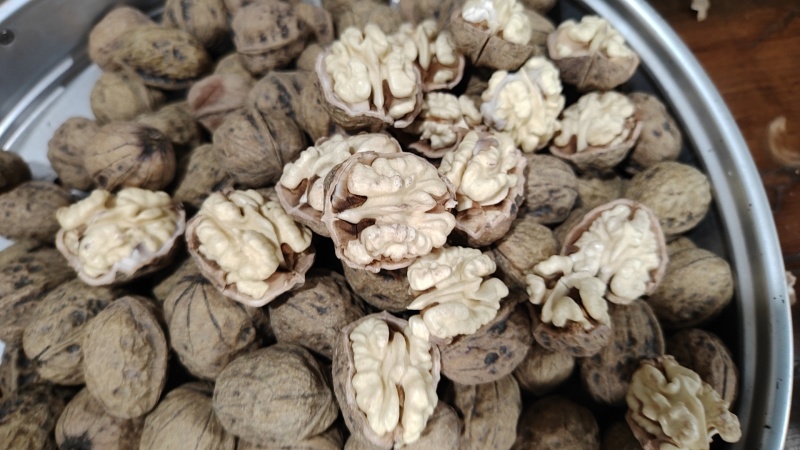 大凉山新鲜核桃