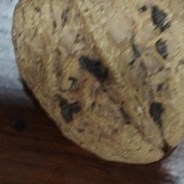 大凉山新鲜核桃