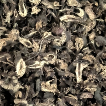 升麻，东北货，全年供应各种货源质优价廉电联详谈