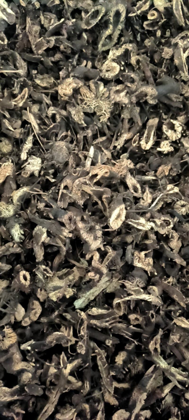 升麻，东北货，全年供应各种货源质优价廉电联详谈