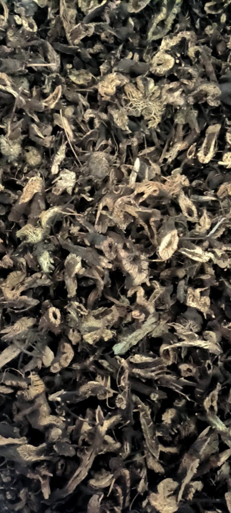 升麻，东北货，全年供应各种货源质优价廉电联详谈
