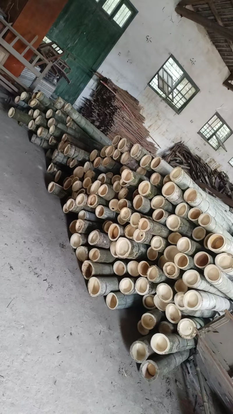 新鲜竹筒5-15公分直径竹筒大竹筒8米竹筒2米5竹筒