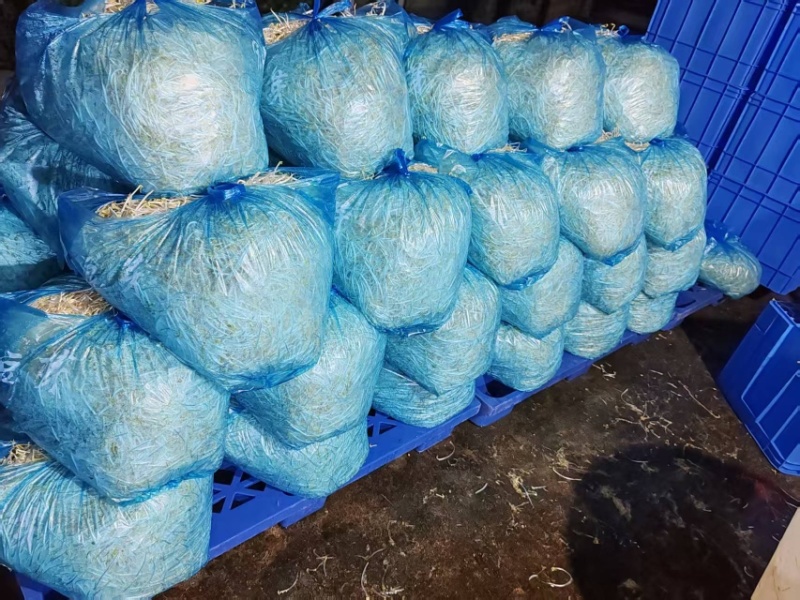 贵阳绿豆芽大量现货厂家直发量大从优欢迎订购