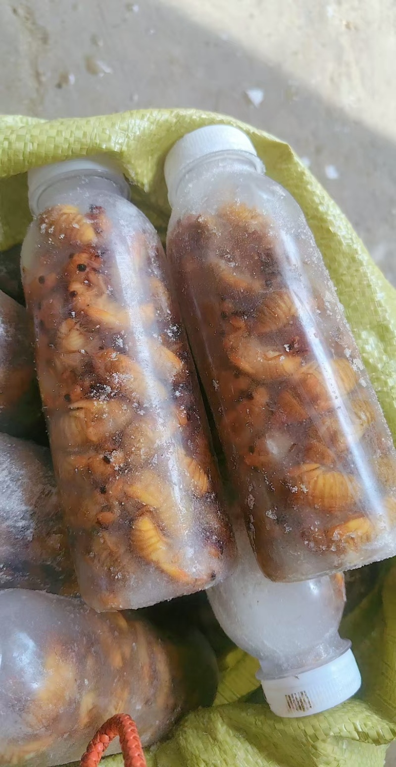 杜仲园，杜仲金蝉原产地一手货源，货源充足