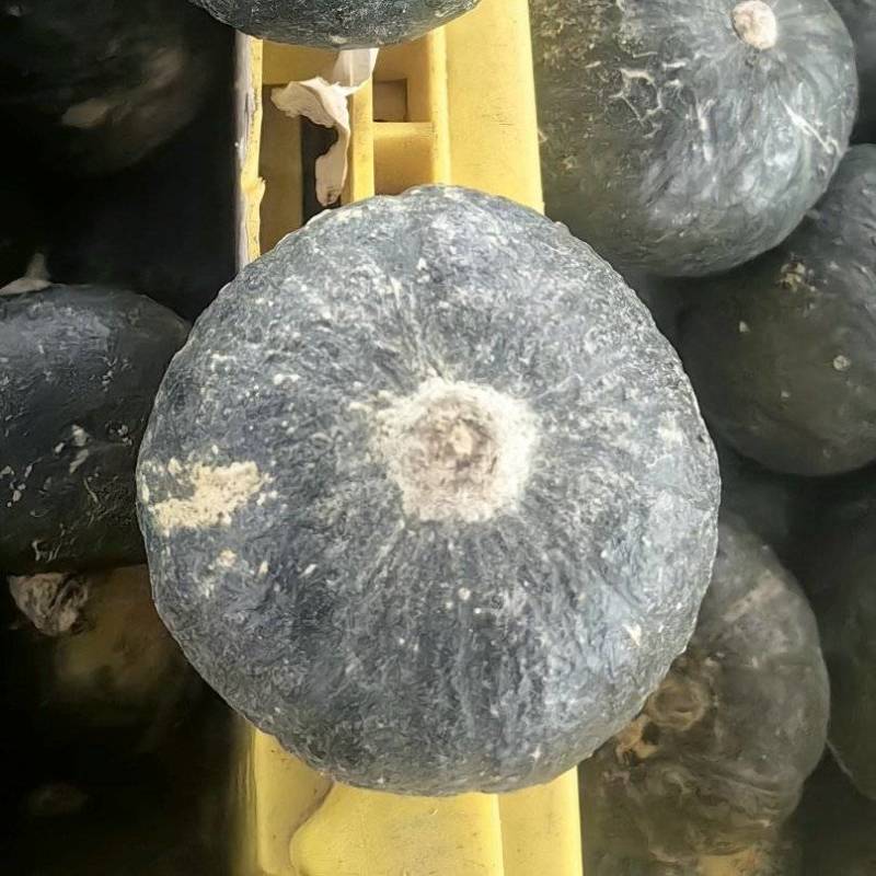 电商小贝贝