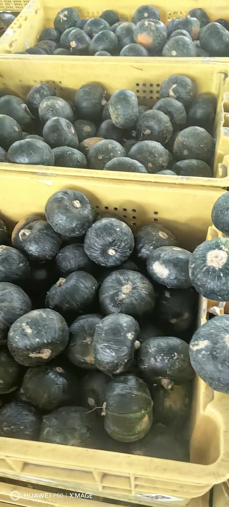 电商小贝贝