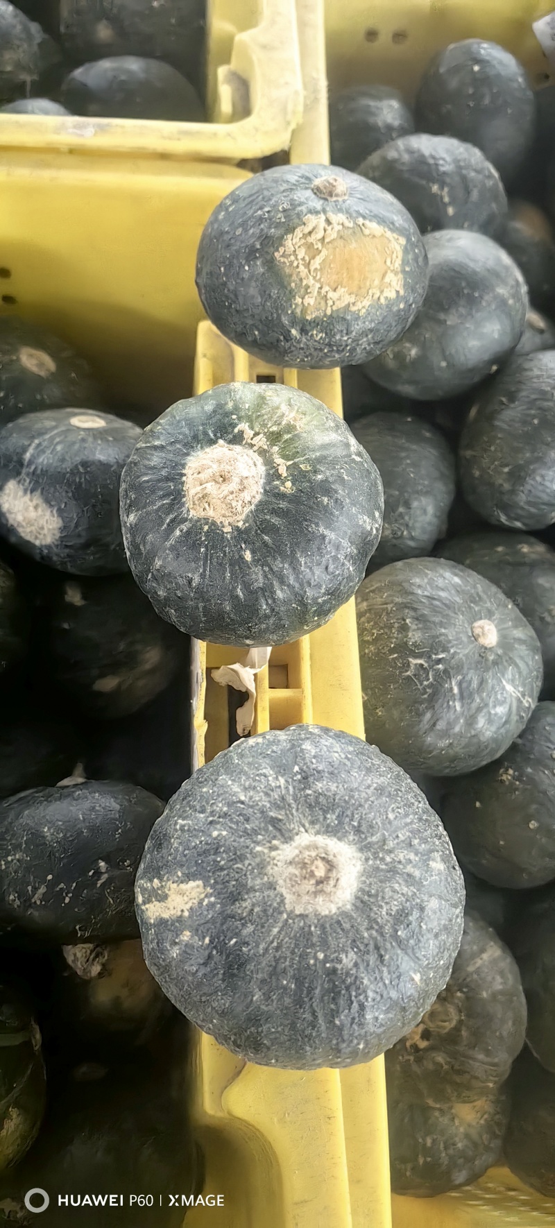 电商小贝贝
