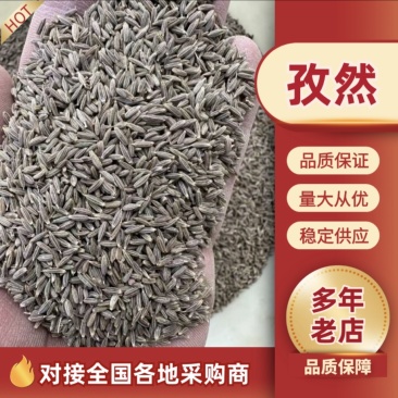 【精品】新疆孜然，源头基地一手货源，正宗味道香浓大量供应