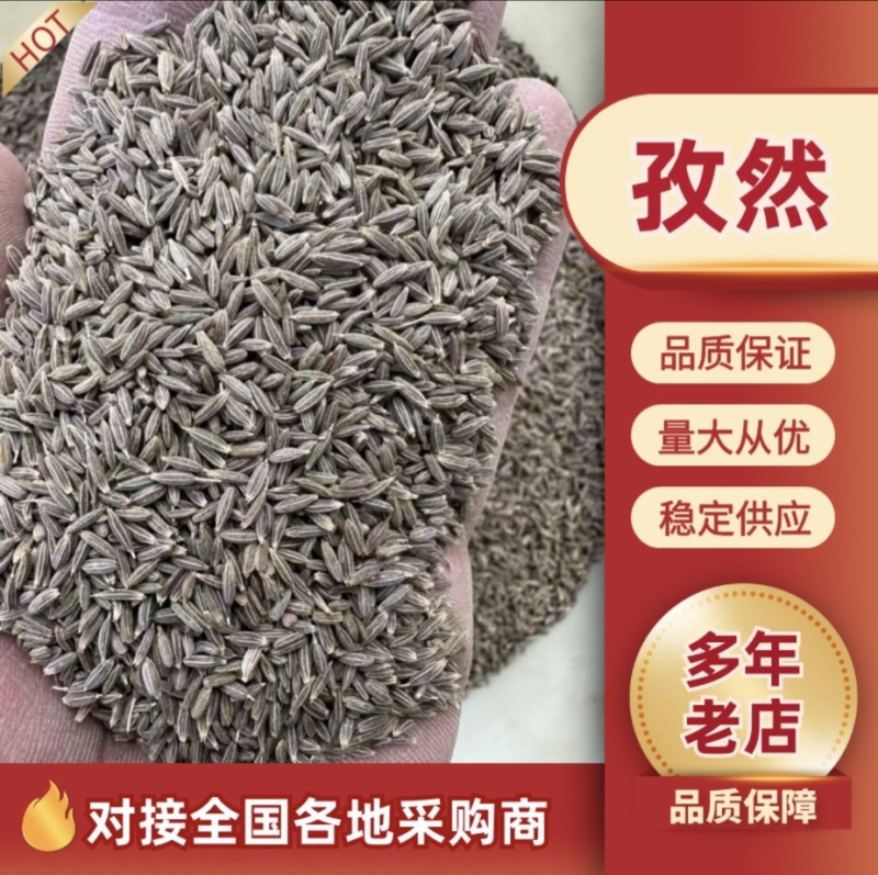 【精品】新疆孜然，源头基地一手货源，正宗味道香浓大量供应