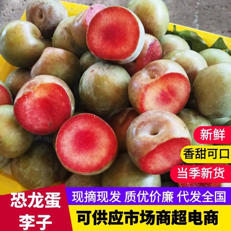 新疆库尔勒恐龙蛋李子大量有货量大从优可对接商超市场