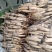 河北荷花藕精品荷花工程荷花各有6600万棵粉荷花白荷花紫