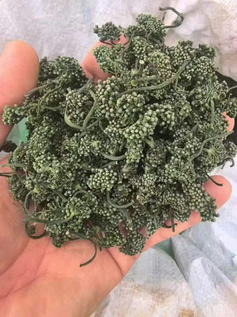 人参花长白山产地直销电商专用支持一件代发