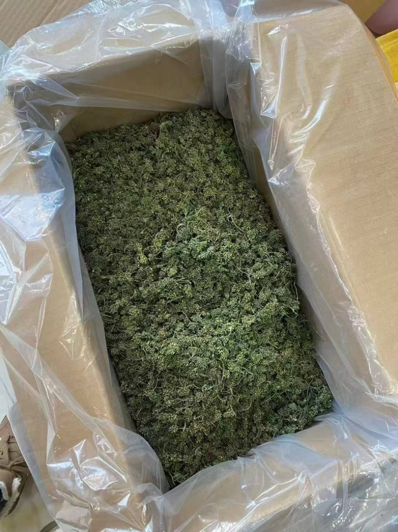 人参花长白山产地直销电商专用支持一件代发