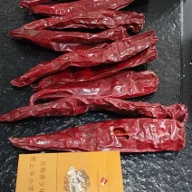 新疆阿克苏红龙23大量优质好货采摘，支持一件代发
