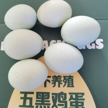“林下散养绿壳蛋，一口吃进自然的营养”