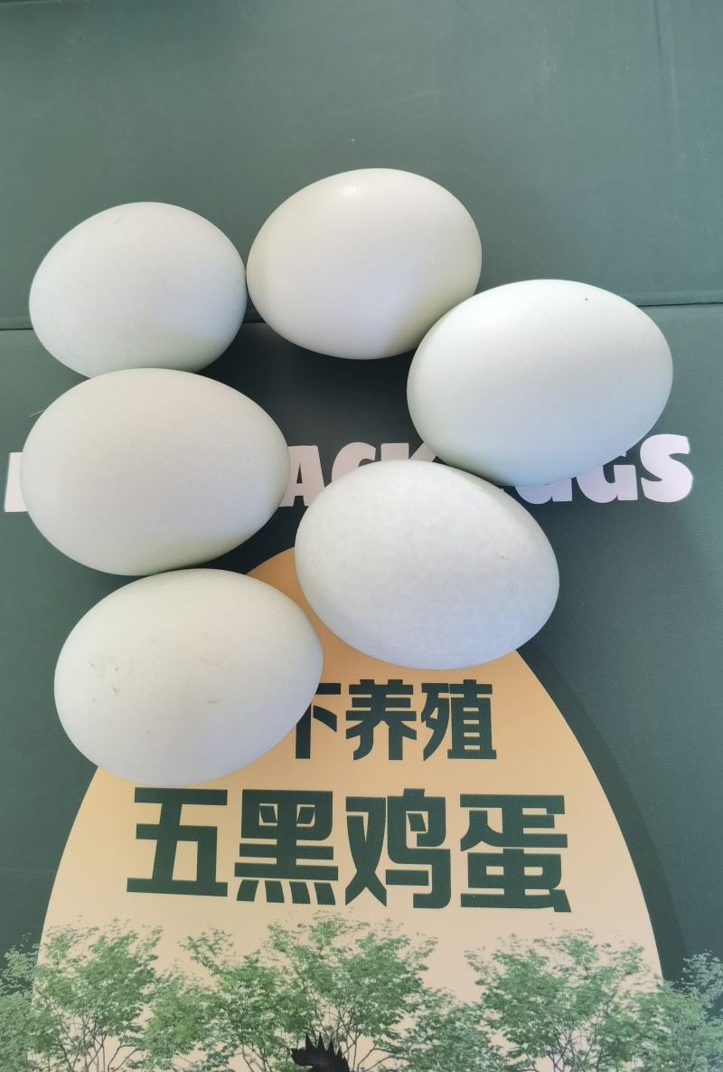 “林下散养绿壳蛋，一口吃进自然的营养”