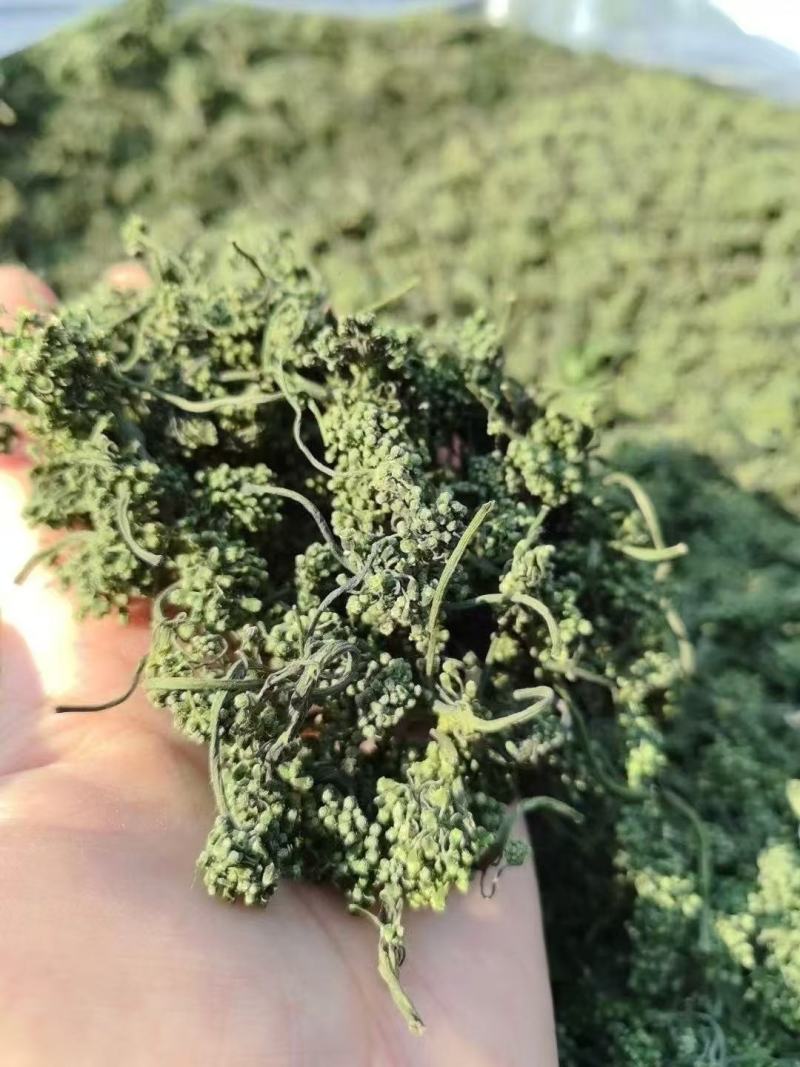 人参花抖快电商专用支持一件代发量大价格可谈