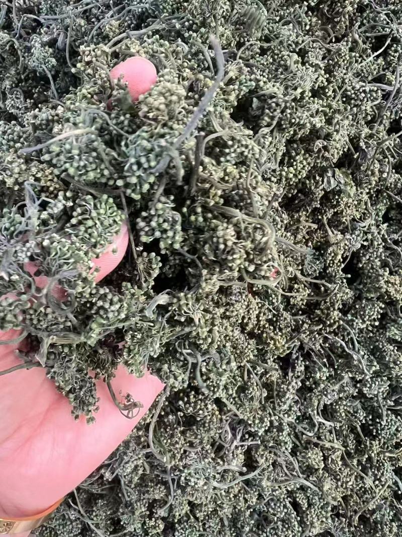 人参花抖快电商专用支持一件代发量大价格可谈
