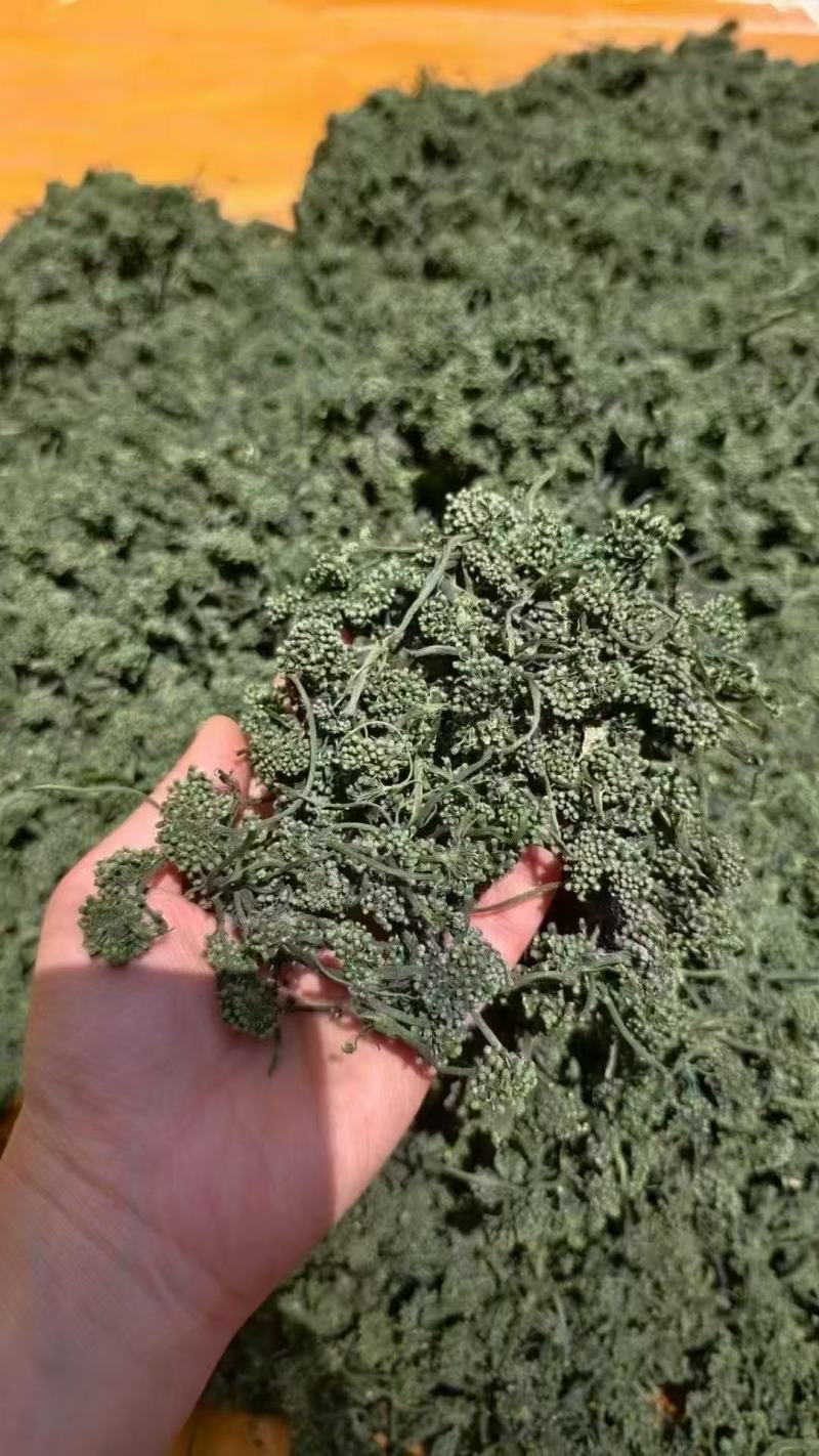 人参花抖快电商专用支持一件代发量大价格可谈