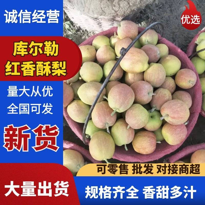 新疆库尔勒红香酥梨大量有货量大从优保质保量欢迎咨询