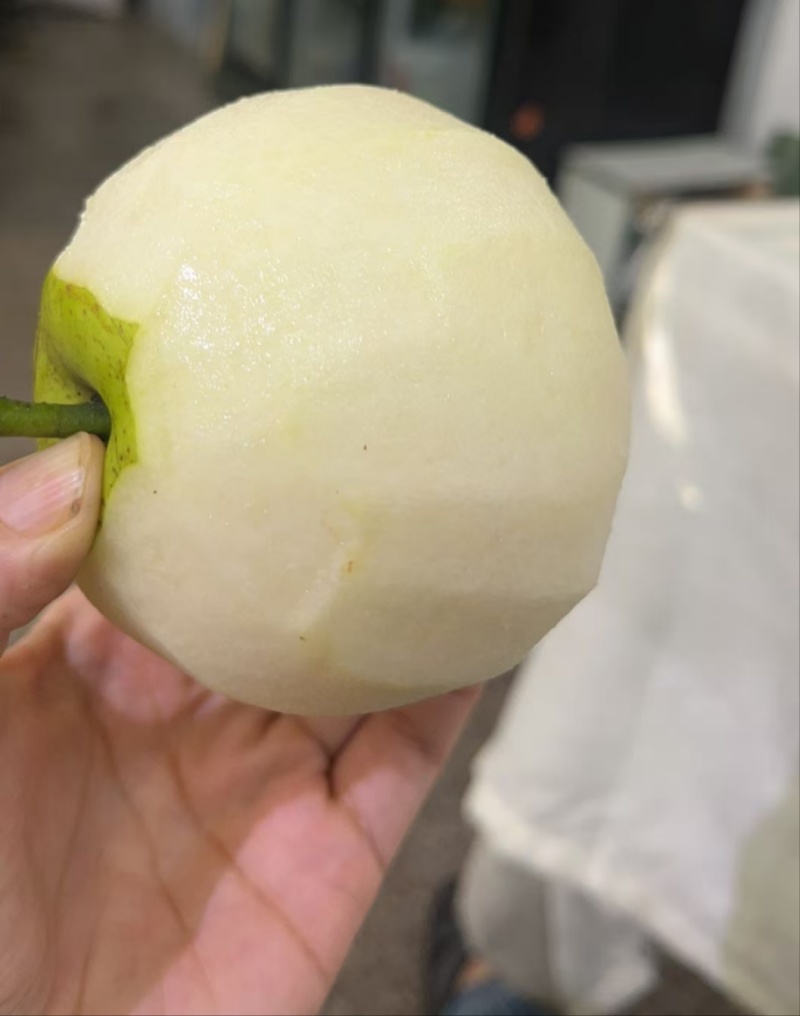 慈溪蜜梨基地