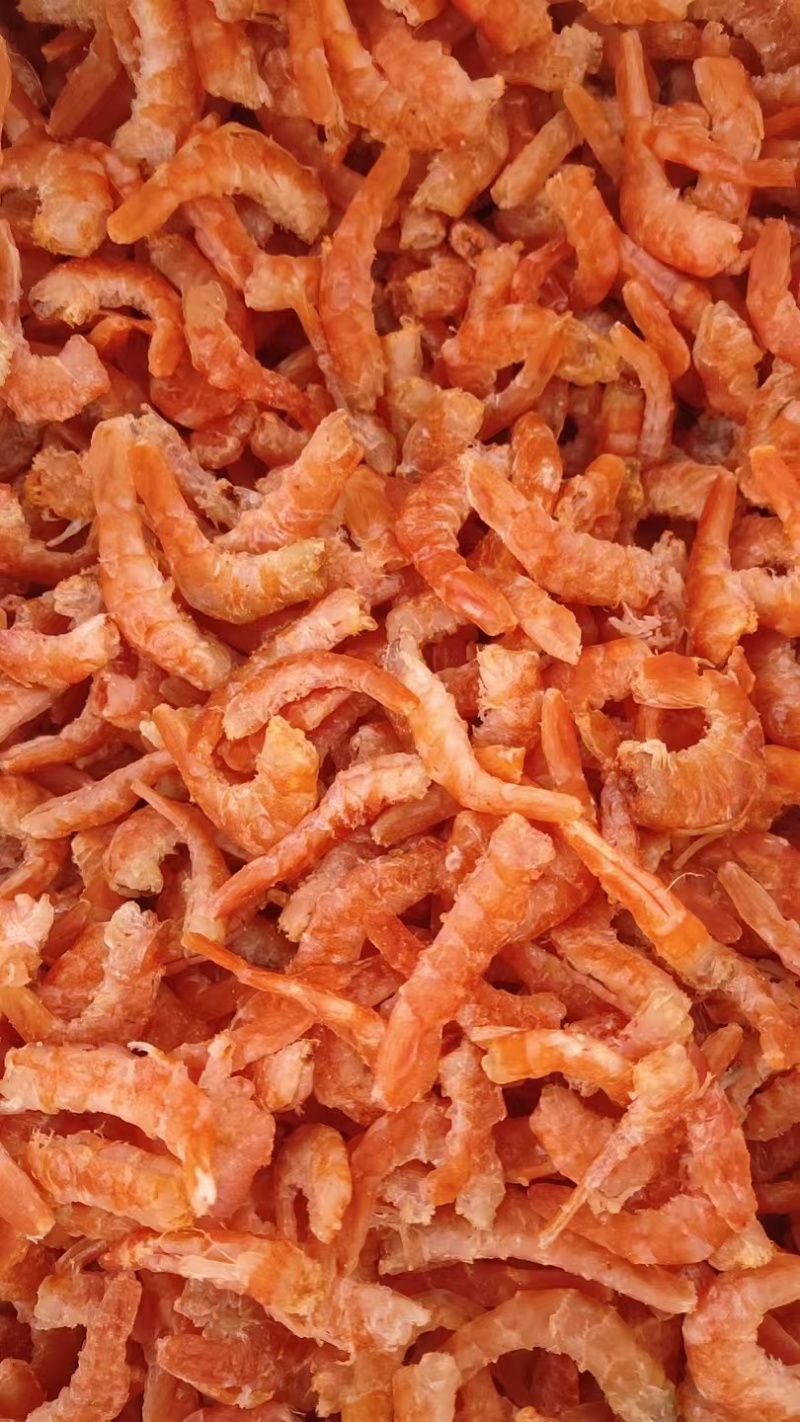 山东直勾海米量大从优对接市场电商规格齐全欢迎来电咨询订购