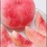 水蜜桃产地直销，一手货源，量大从优，全国发货