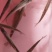 白条
