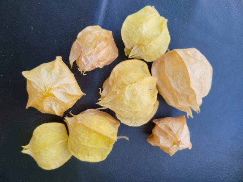 东北菇娘果***********