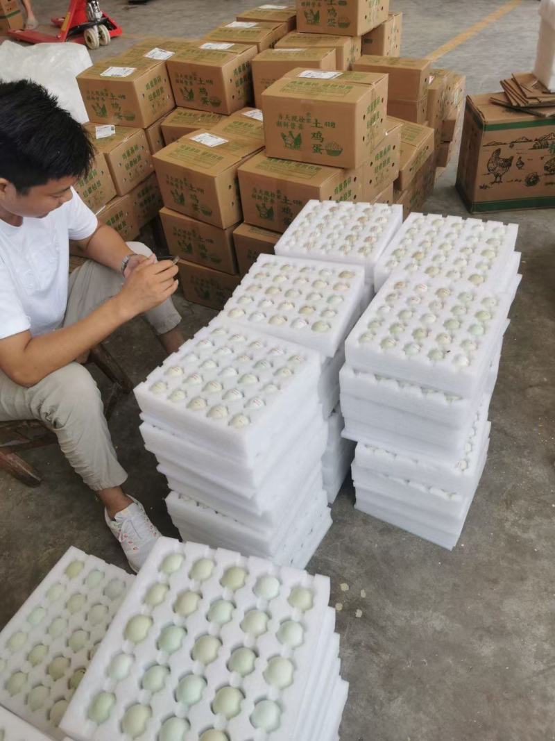 大山新鲜散养土鸡蛋，大量供应，长期合作