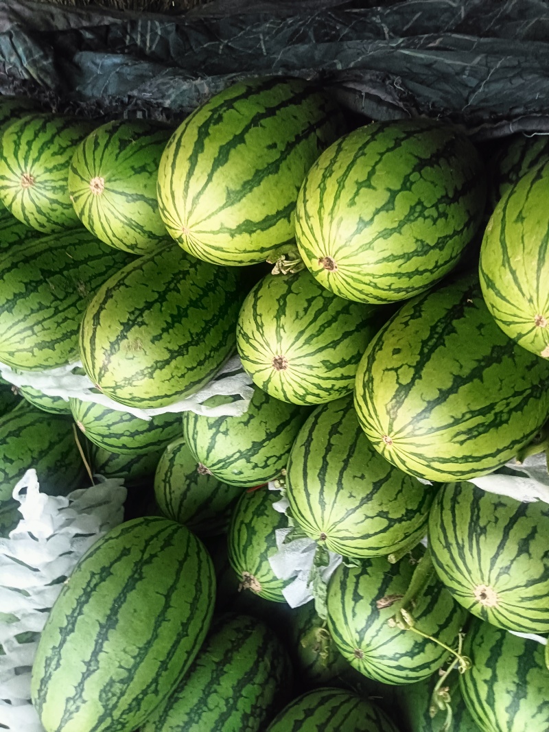 吊瓜