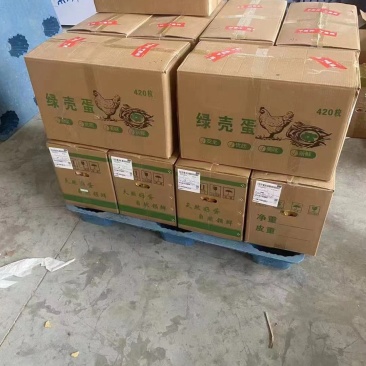 大山新鲜出炉散养土鸡蛋，大量供应，长期合作