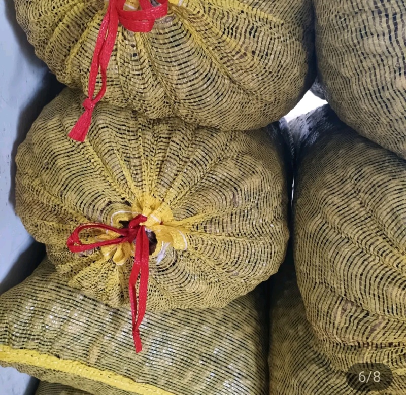 早熟白沙新鲜花生预定中，适合各大商超，全国发货，量大从优