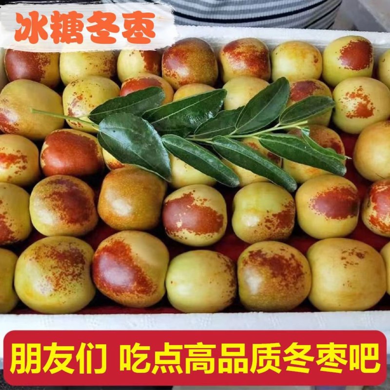 陕西大荔冬枣供应各大电商，多多买菜，批发市场全国发货