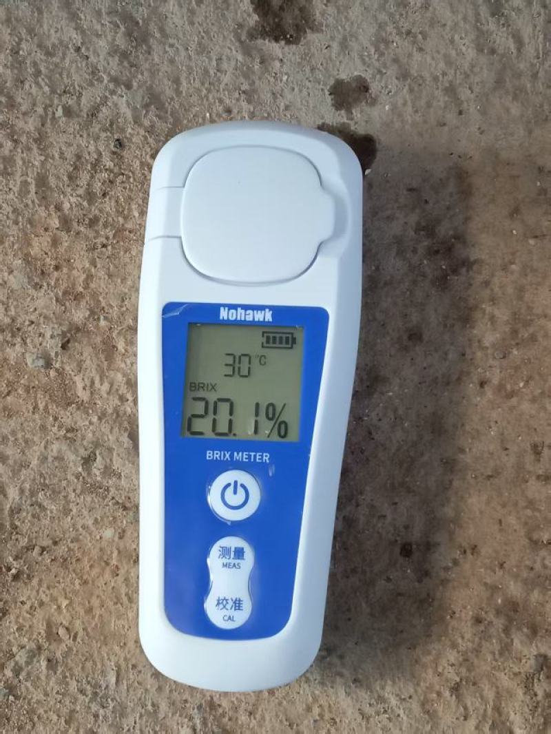 巨峰即将上市，有意向的老板欢迎来电咨询和下产地看果