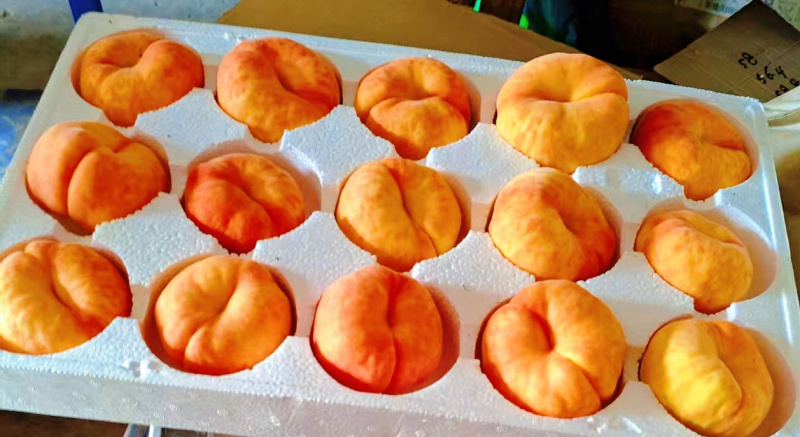 目前阶段果园里是白油桃，黄油蟠桃，黄毛蟠桃水蜜桃山西