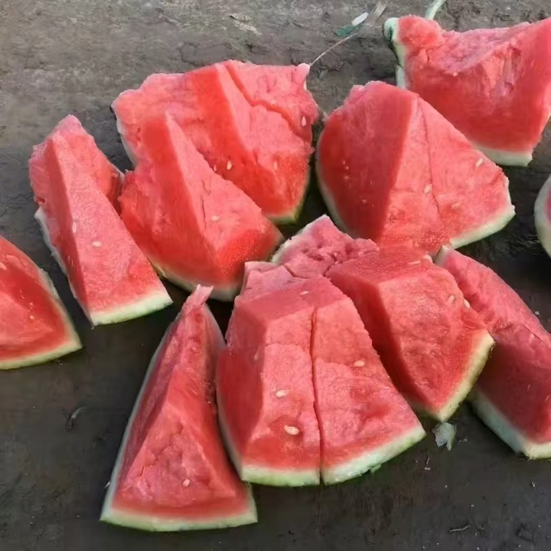 宁夏美都麒麟西瓜大量接单大吨位供应代发全国欢迎下单