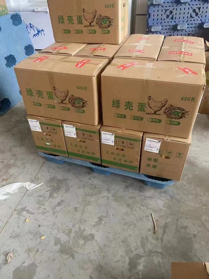 大山新鲜散养土鸡蛋，大量供应，长期合作，欢迎咨询