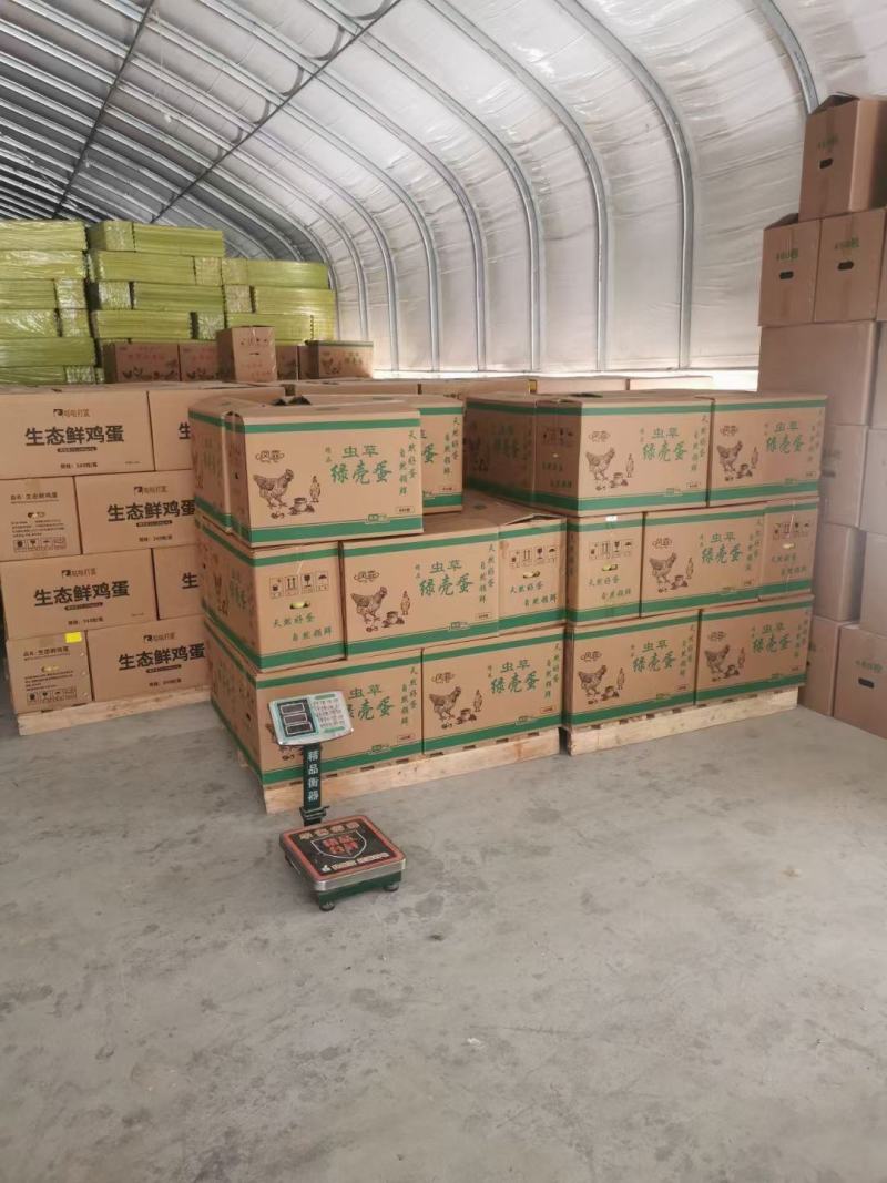 大山新鲜散养土鸡蛋，大量供应，长期合作，欢迎咨询