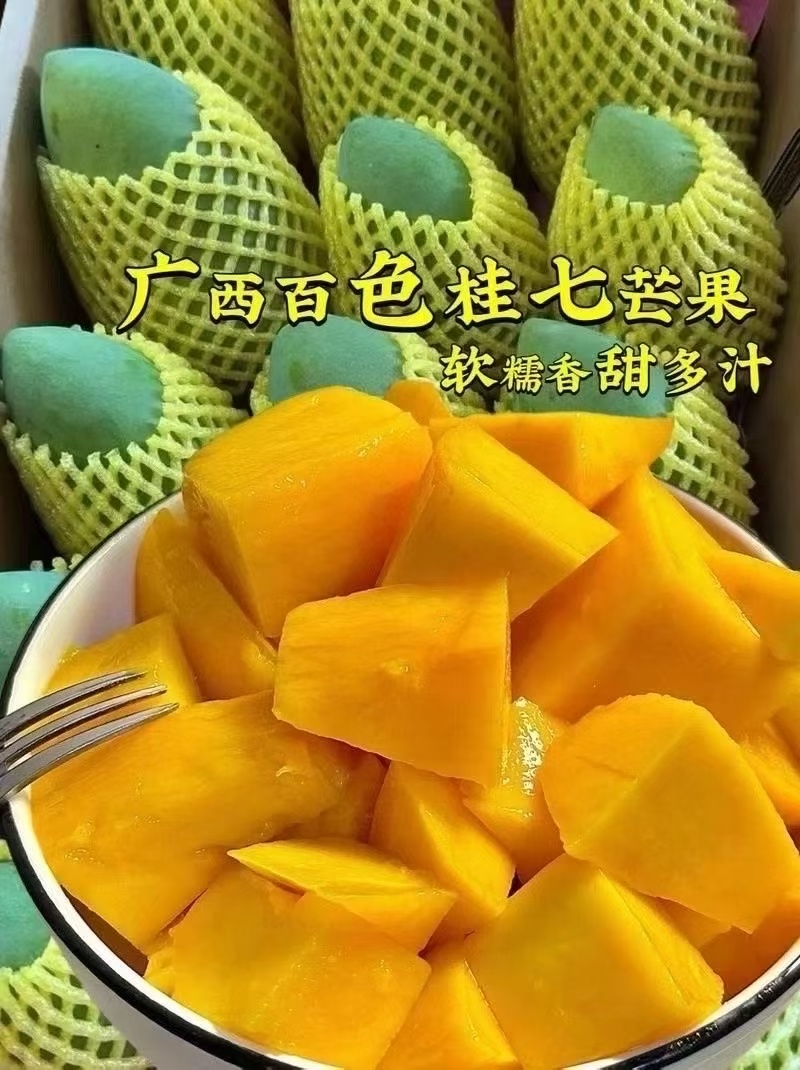 桂七芒果十斤大果广西百色田东的桂七芒果