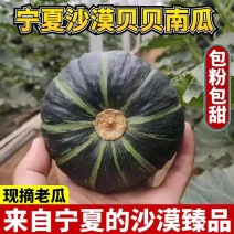 《贝贝南瓜》宁夏贝贝南瓜/板栗南瓜/产地直发/全国供应