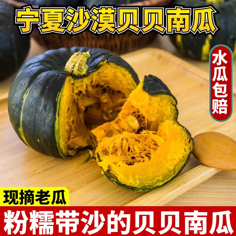 《贝贝南瓜》宁夏贝贝南瓜/板栗南瓜/产地直发/全国供应