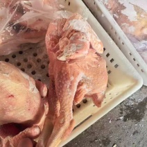 黄脚大冠公鸡规格齐全蛋鸡麻鸡
